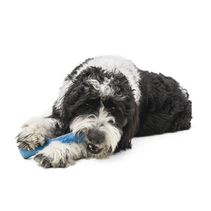 Drifty Seaflex Dog Toy - hibiscus - Shopivet.com