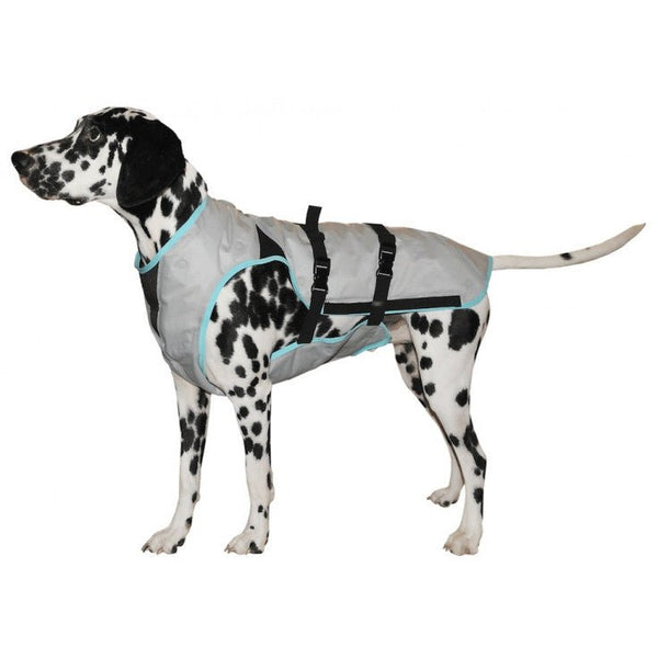 DRY COOLING VEST DOG - SMALL - Shopivet.com