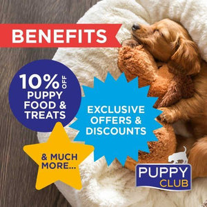 Fish4Dogs Salmon Mousse Wet Dog Food 90g - 90g
