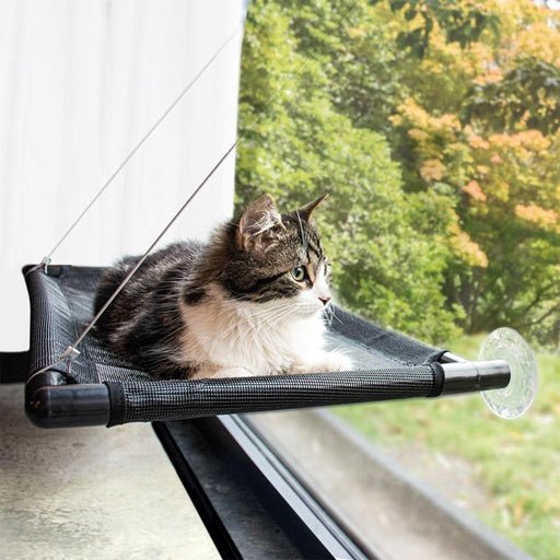 Duvo+ Window Hammock for Cats 66x40x2,5cm Black - Shopivet.com
