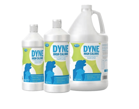 DYNE HIGH CALORIE Nutritional Supplement for Dogs and Puppies 473ml - Shopivet.com