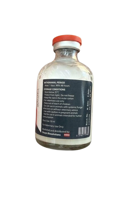 ORVYN PREDNISOLONE ACETATE 1% 50ml