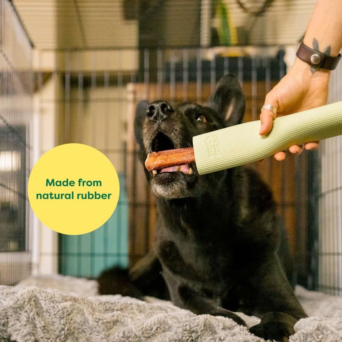 Earth Rated Enrichment Toy - large - Shopivet.com