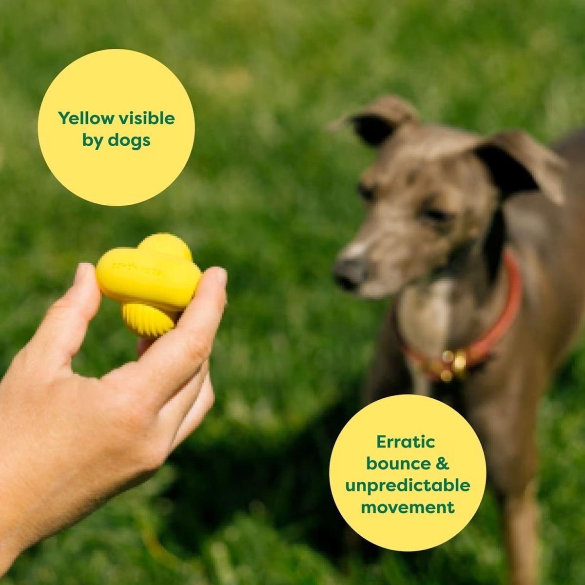 Earth Rated Fetch Toy - large - Shopivet.com