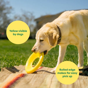 Earth Rated Fly Toy - large - Shopivet.com