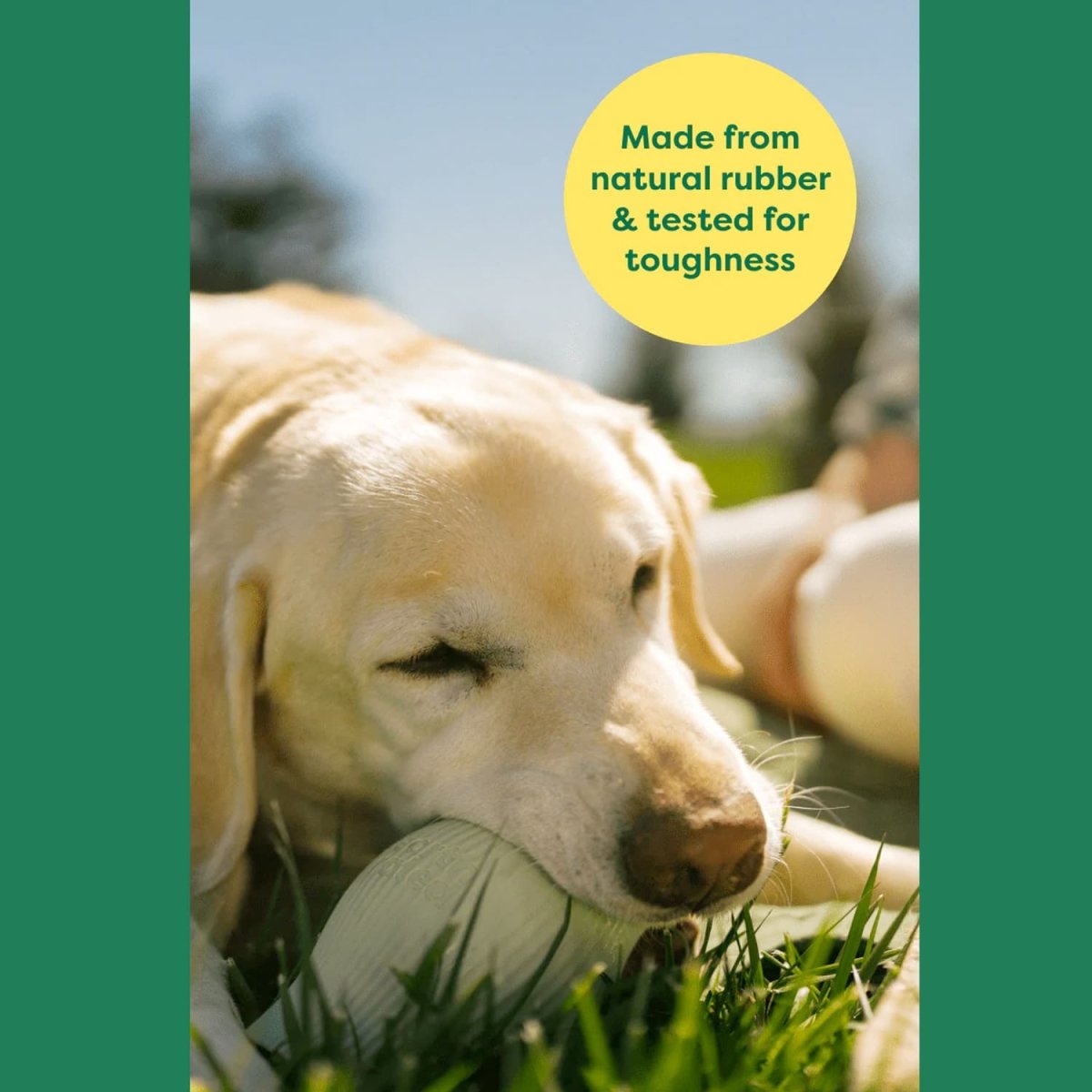 Earth Rated Treat Toy - large - Shopivet.com