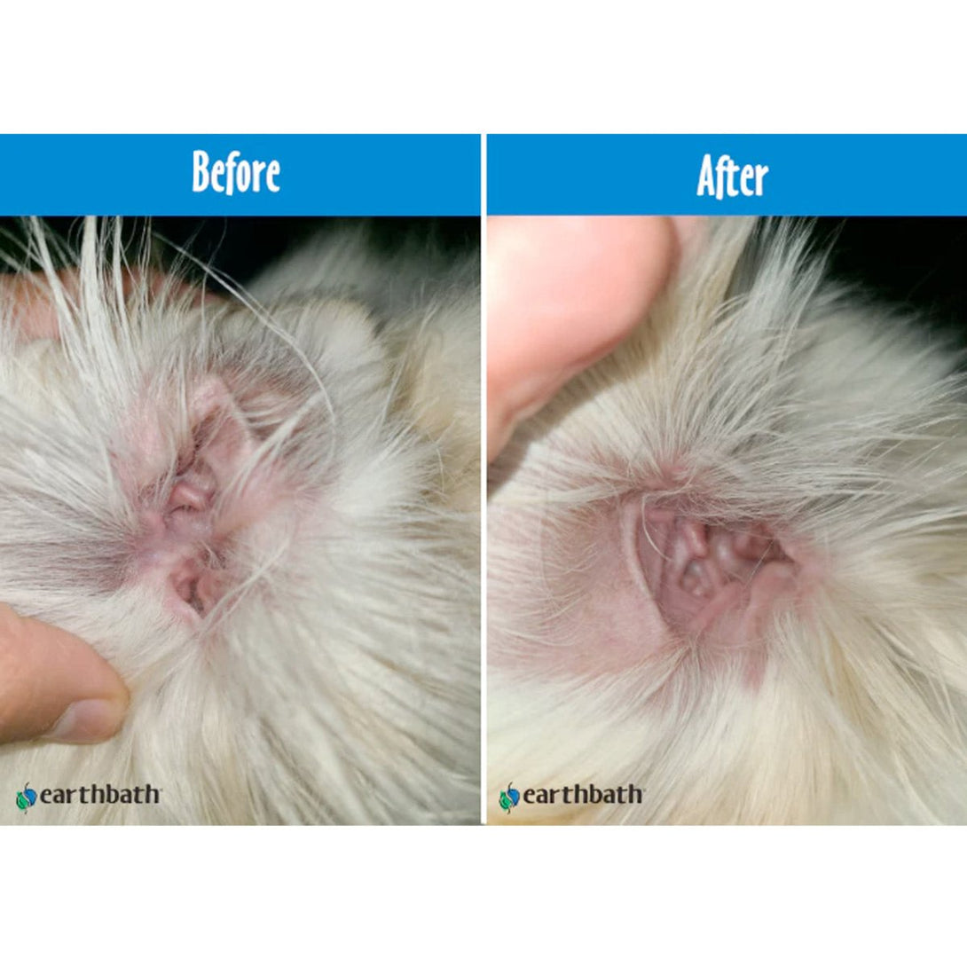 Earthbath Ear Wipes (Witch Hazel & Chamomile) – 30 Wipes - Shopivet.com