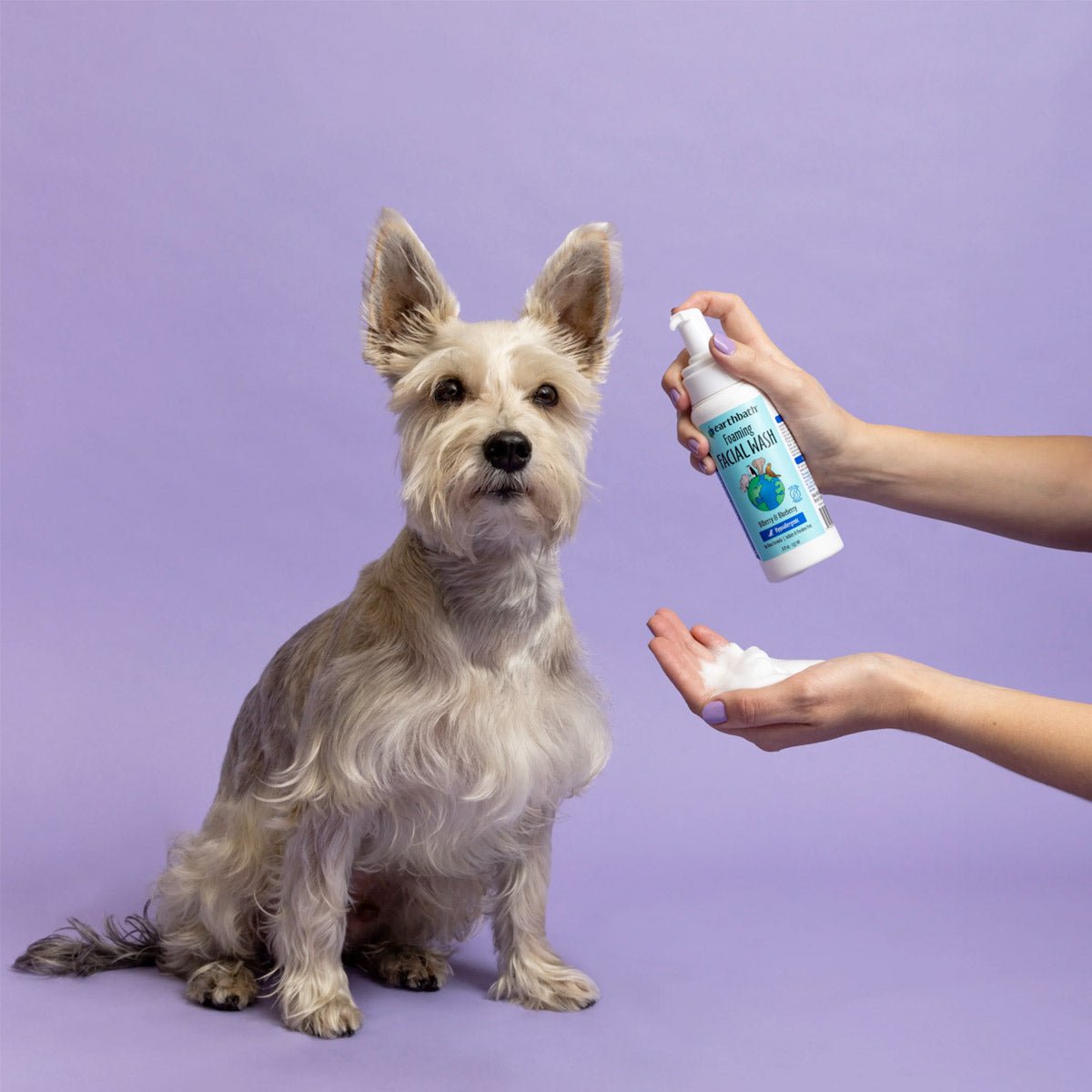 Earthbath Foaming Facial Wash - Shopivet.com