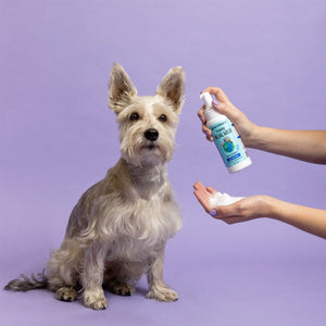 Earthbath Foaming Facial Wash - Shopivet.com
