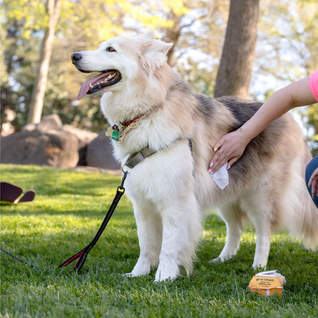 Earthbath Grooming Wipes – Oatmeal & Aloe 100 ct - Shopivet.com