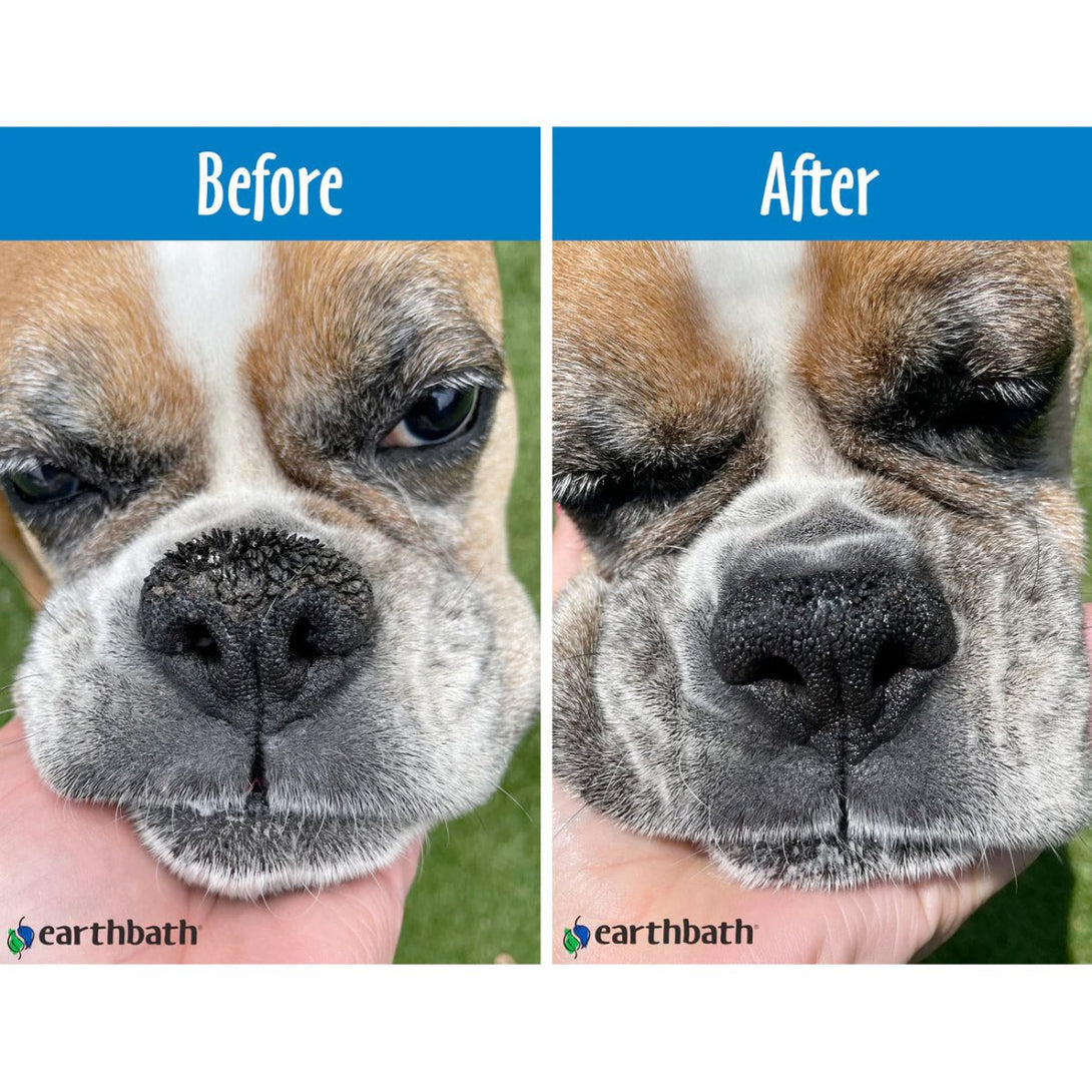 Earthbath Treatment Balm 58g - Shopivet.com
