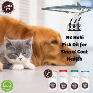 Earthz Pet New Zealand Grass Fed Beef Health Topper for Dogs - Shopivet.com