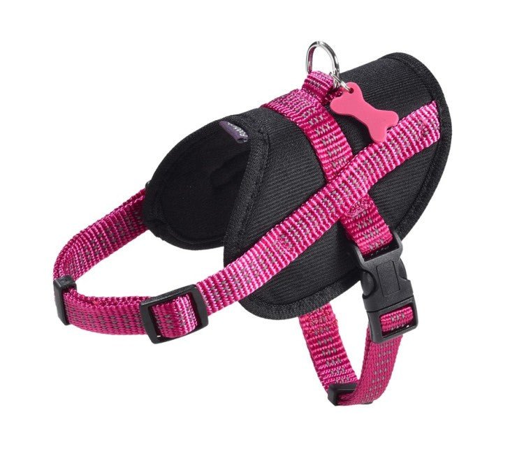 Easy Safe Harness / M - Shopivet.com