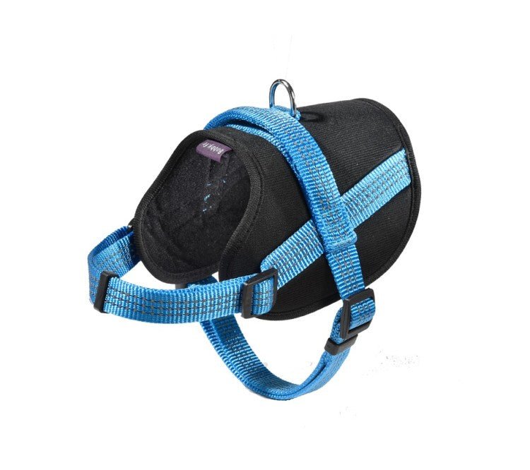 Easy Safe Harness \XS - Shopivet.com