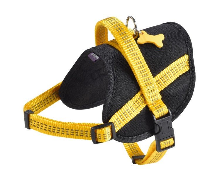 Easy Safe Harness \XS - Shopivet.com