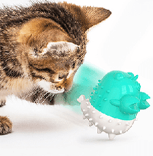 Electric Crayfish - Shaped Quaky Cat Toy - Shopivet.com