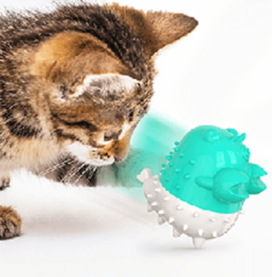 Electric Crayfish - Shaped Quaky Cat Toy - Shopivet.com