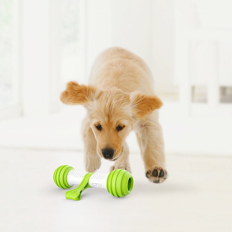 Electronic Automatic Playbone - Shopivet.com