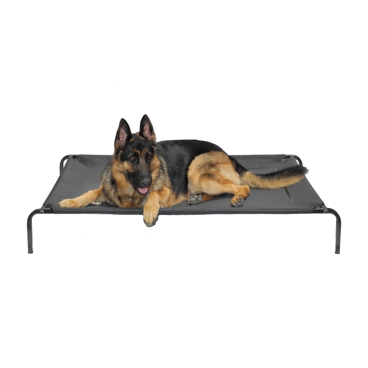 Elevated Cooling Pet Cot Bed (Available in 28″ to 55″) - 55"L x 32"W x 8"H - Shopivet.com
