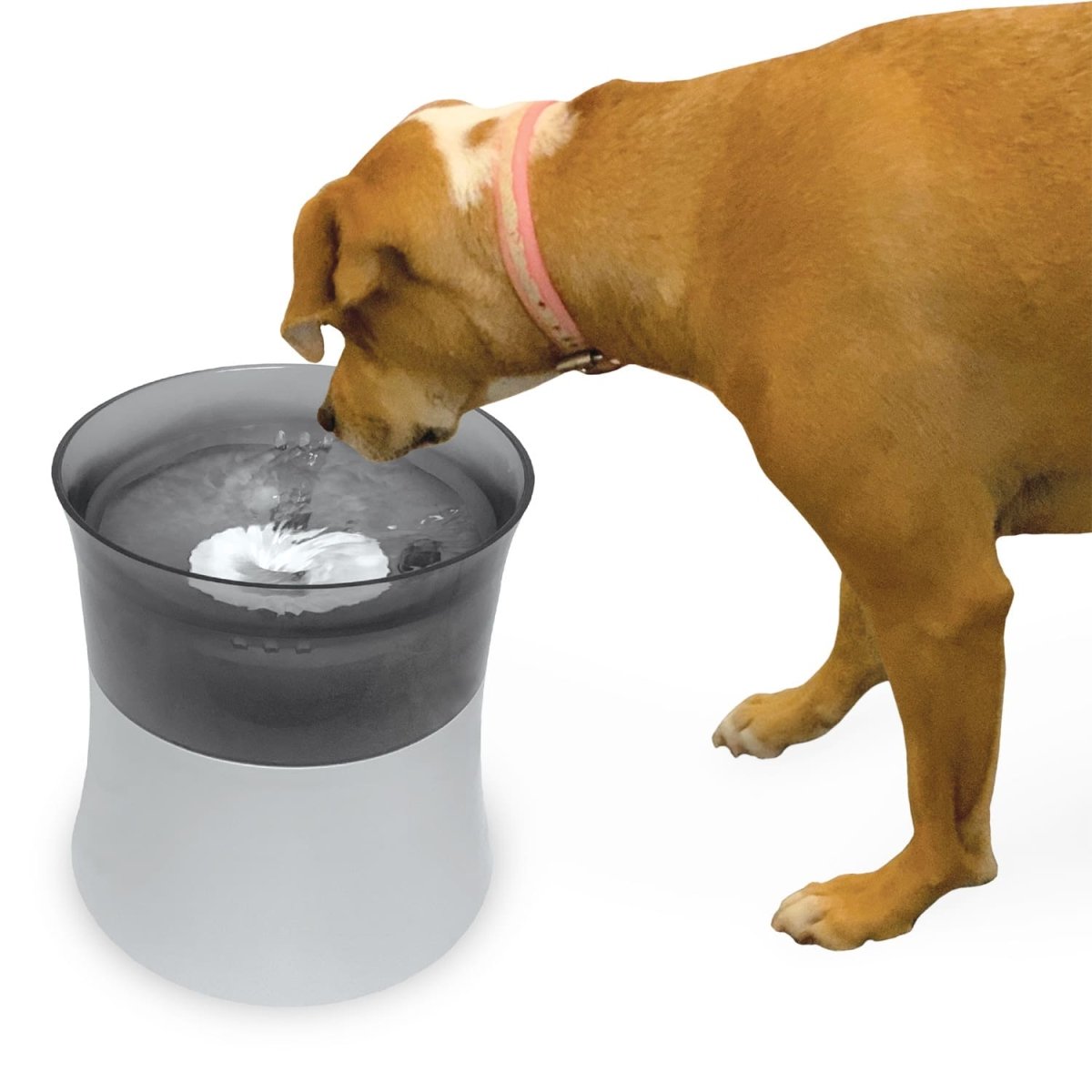Elevated Vortex Drinking Fountain 128oz - Shopivet.com