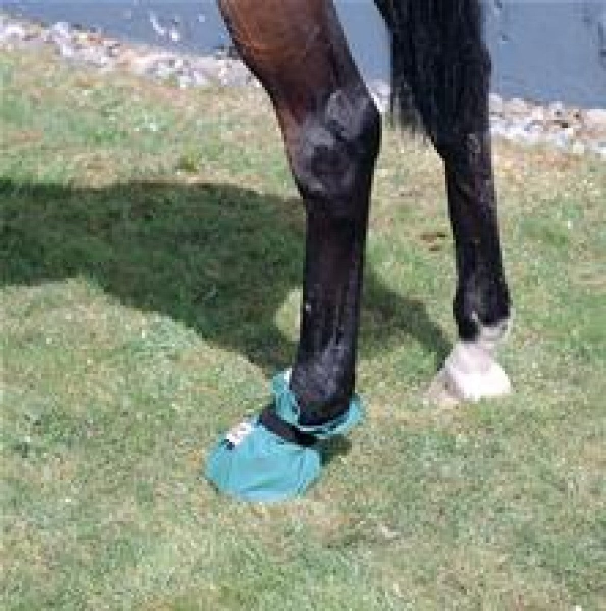EQUIVET Hoof-it bag, small