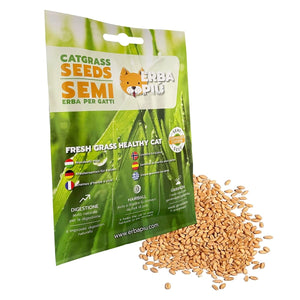 Erba Piu Cat Grass seeds - Shopivet.com