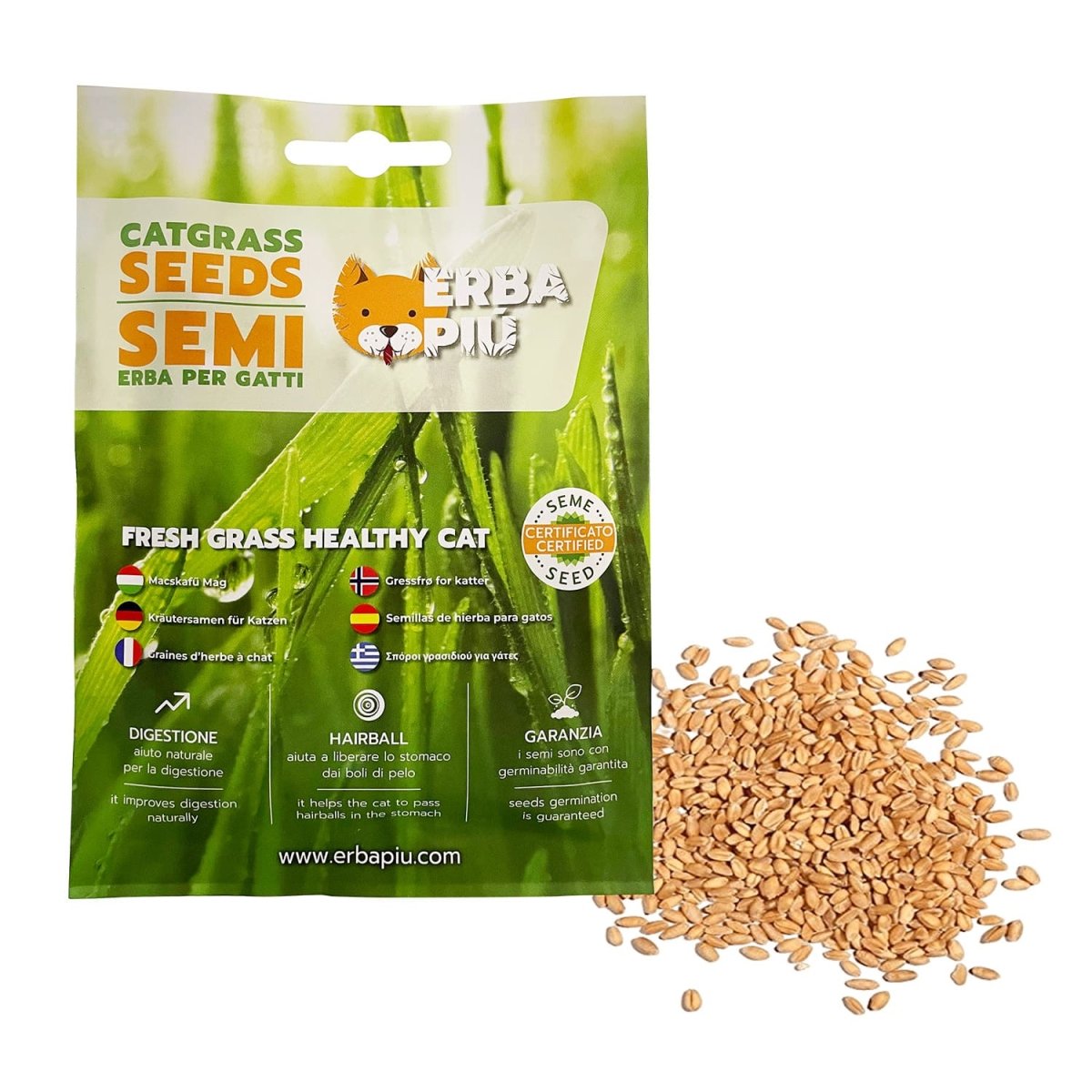 Erba Piu Cat Grass seeds - Shopivet.com