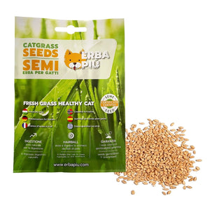Erba Piu Cat Grass seeds - Shopivet.com