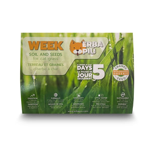 Erba Piu Week Soil and Seeds Kit for Cat Grass - Shopivet.com