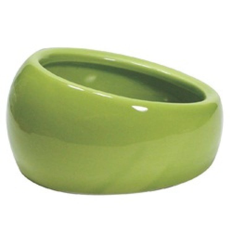 Ergonomic Dish - Large - Shopivet.com