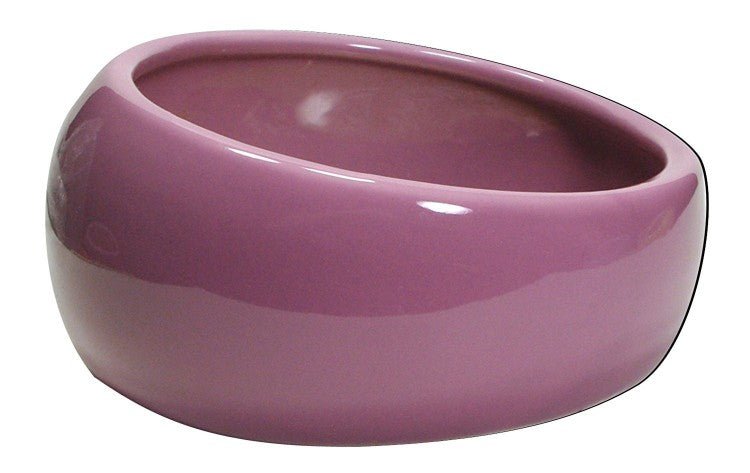 Ergonomic Dish - Large - Shopivet.com