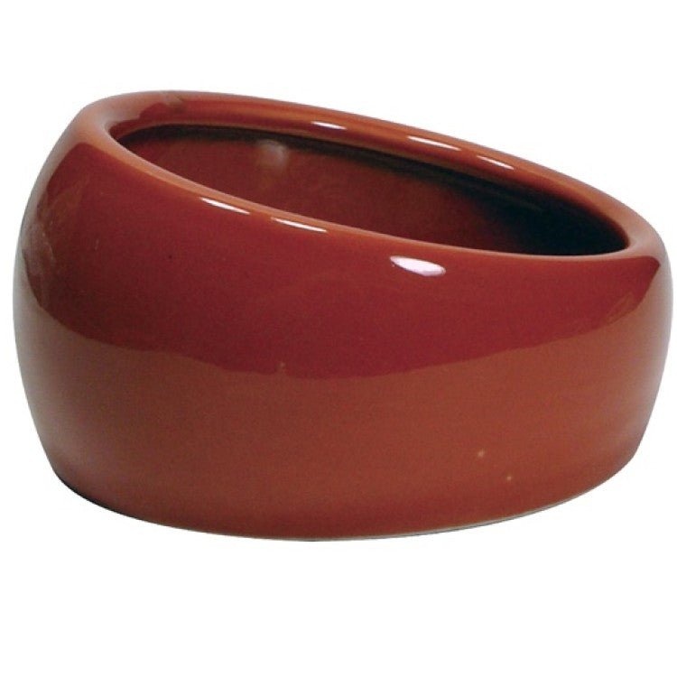 Ergonomic Dish - Small - Shopivet.com