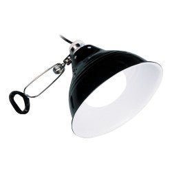 Exo Terra Glow Light - Large 25cm - Shopivet.com