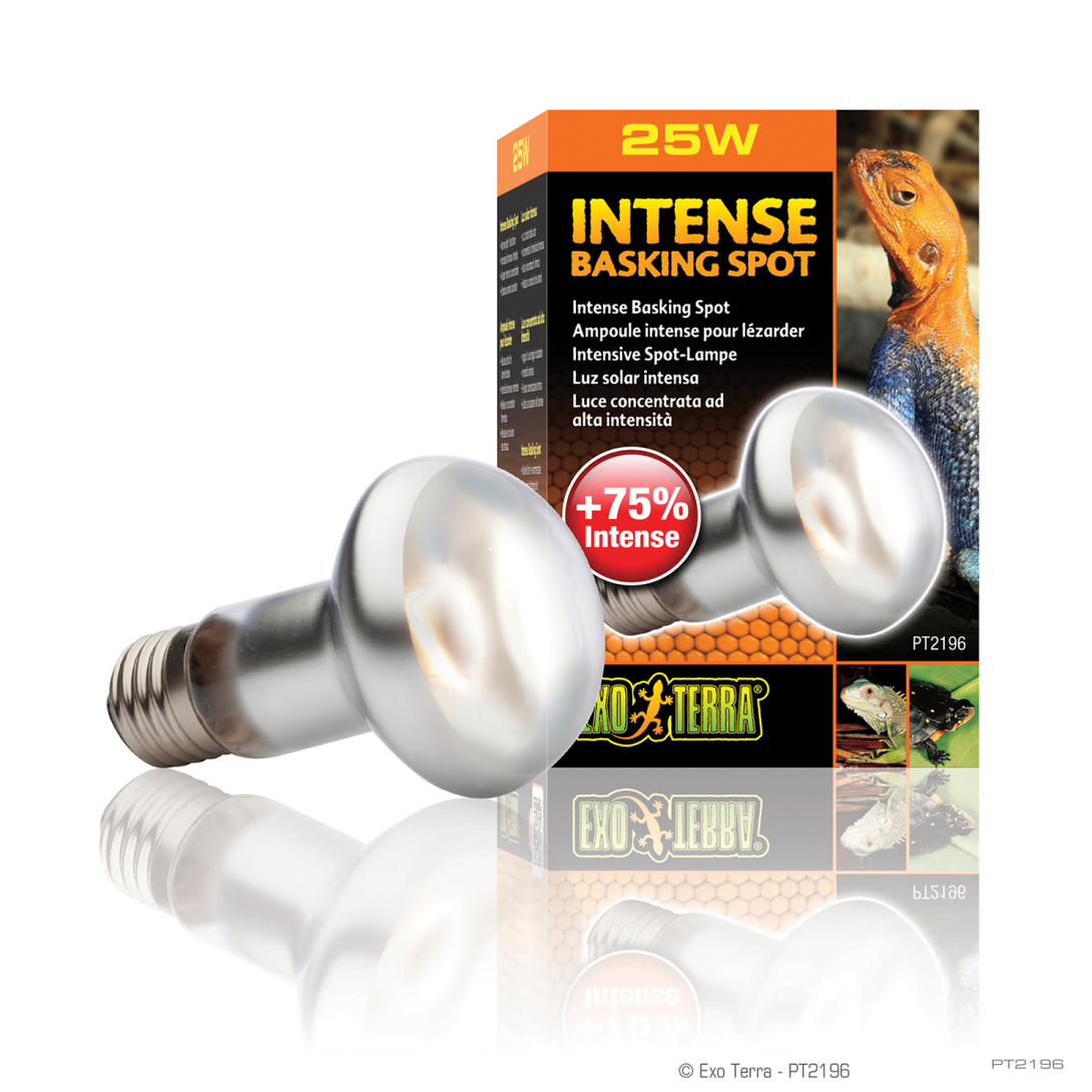 Exo Terra Intense Basking Spot - 25W