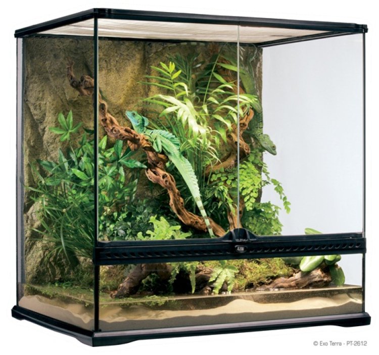 Exo Terra Natural Terrarium Medium/Tall 60 x 45 x 60cm - Shopivet.com