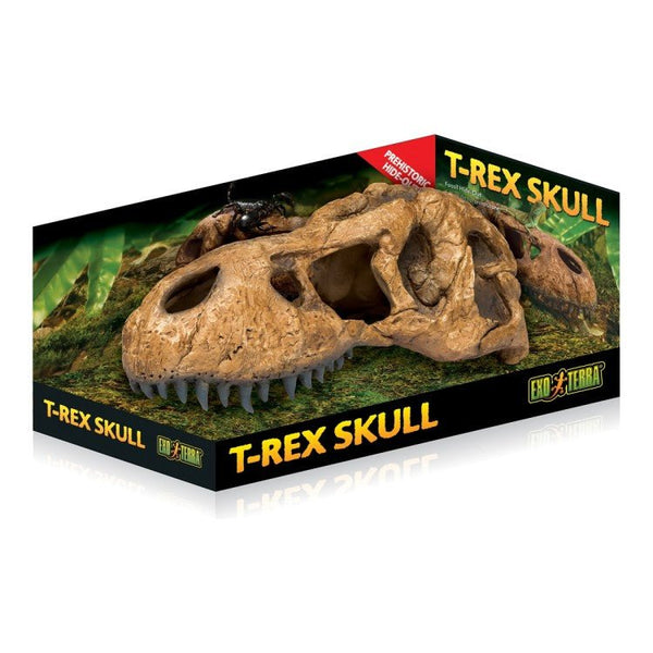 Exo Terra T-Rex Skull Fossil Hide Out - Shopivet.com