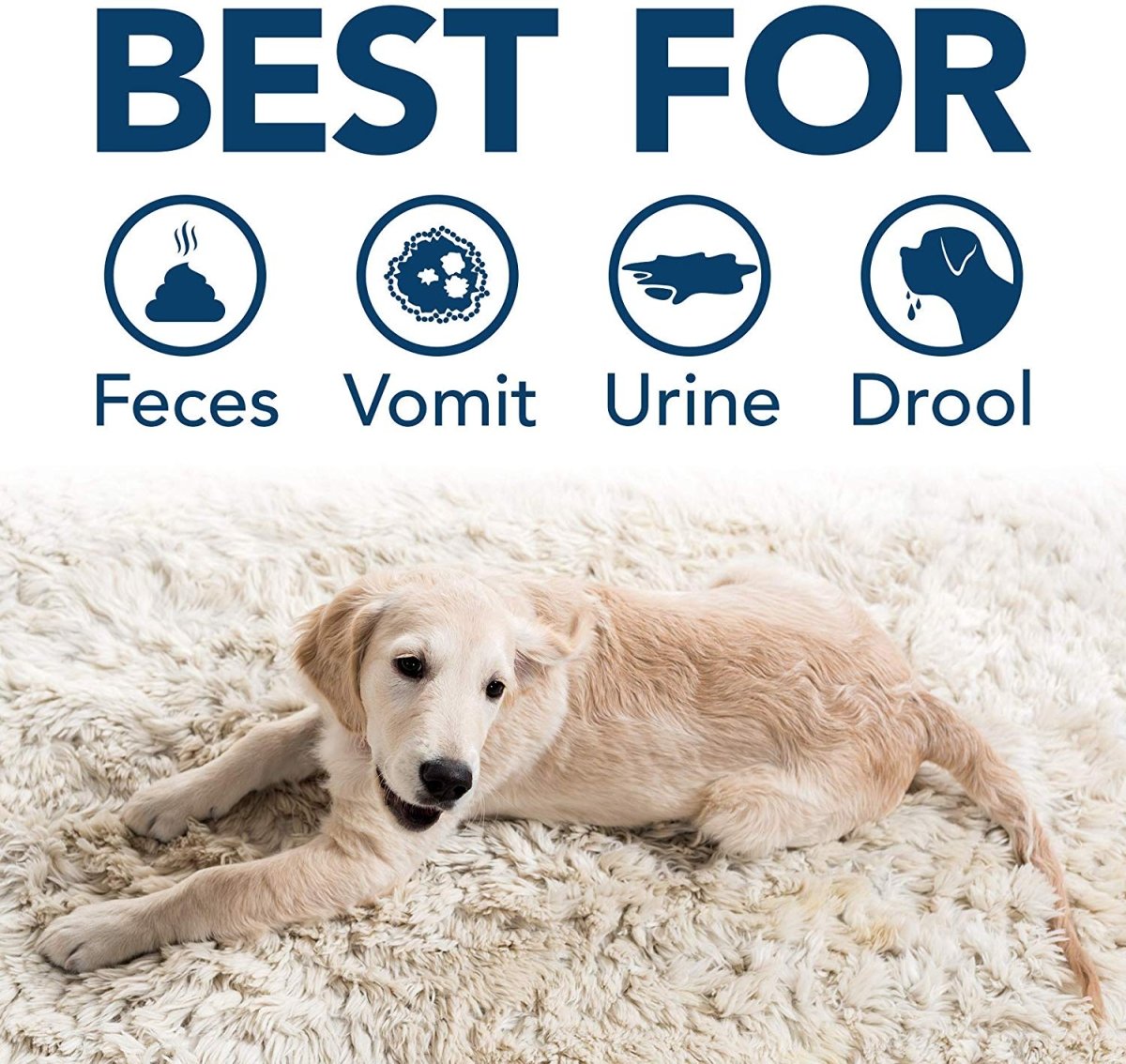 Extreme Pet Stain and Odor Remover 32 OZ - Shopivet.com