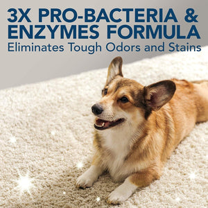 Extreme Pet Stain and Odor Remover 32 OZ - Shopivet.com