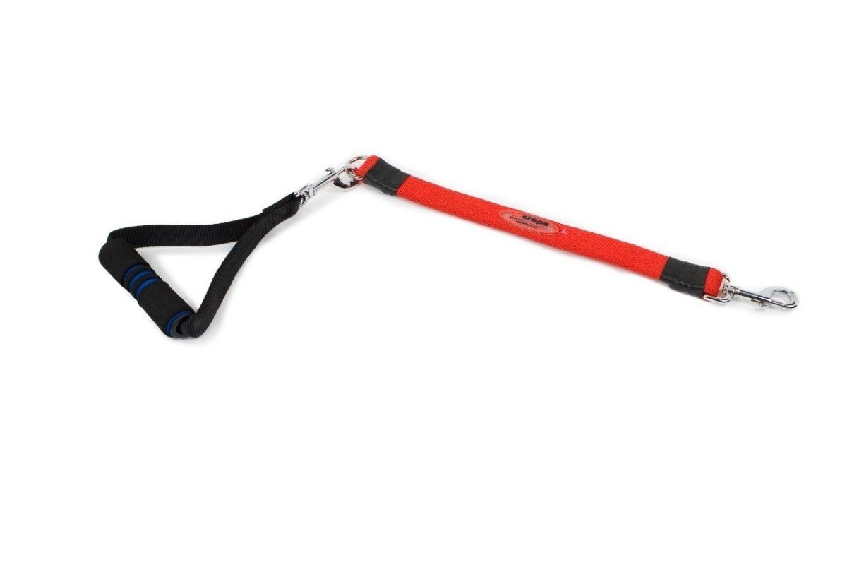 Ez Step Stretch Leash Large - black - Shopivet.com