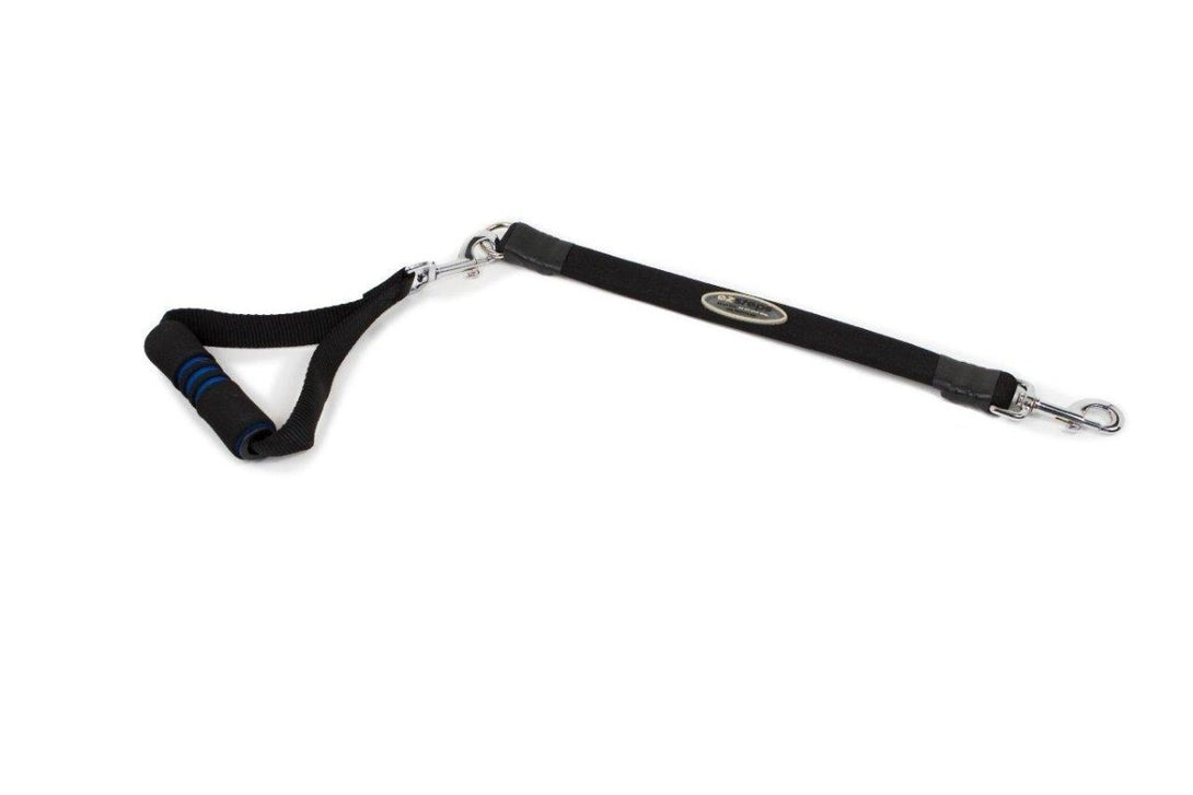 Ez Step Stretch Leash Large - blue - Shopivet.com