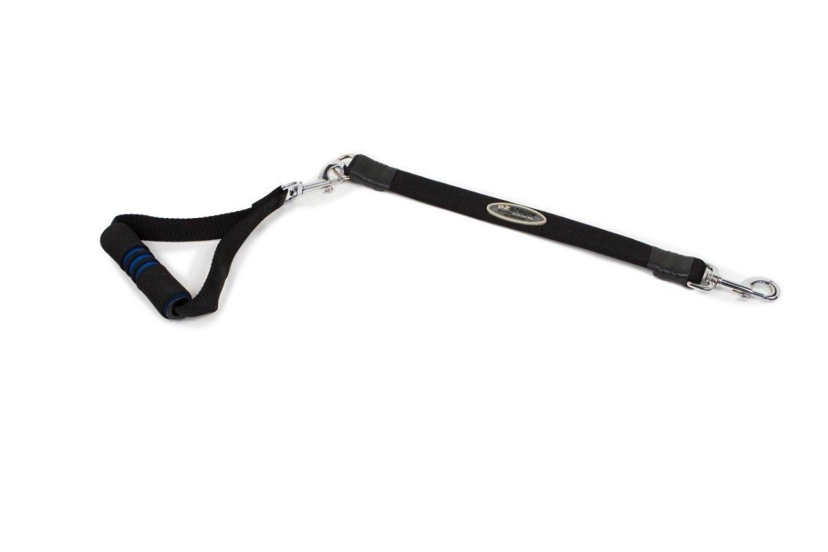 Ez Step Stretch Leash Large - red - Shopivet.com