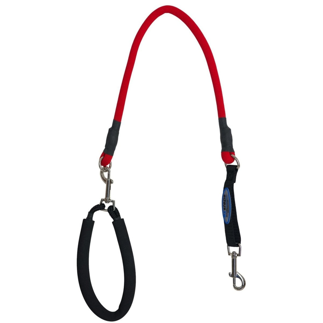 Ez Step Stretch Leash Medium - blue - Shopivet.com