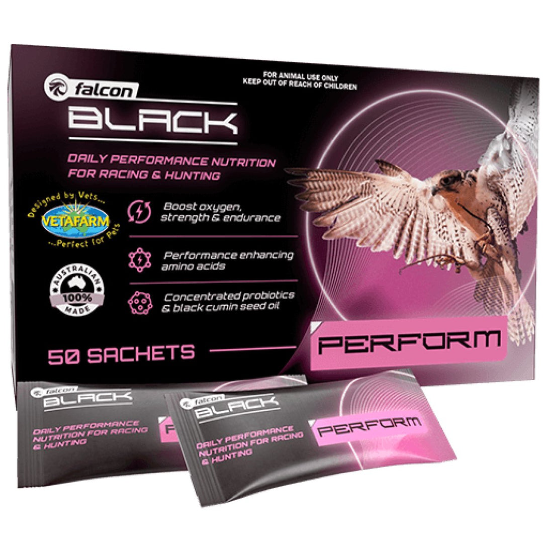 Falcon Black Perform 1 sachets - Shopivet.com