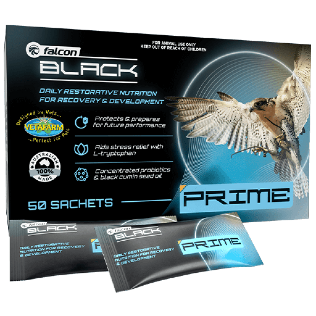 Falcon Black Prime 50 sachets