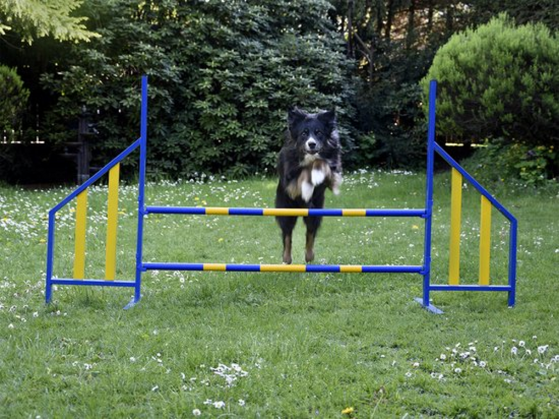 FCI Professional Metal Hurdle