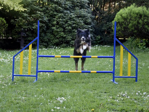 FCI Professional Metal Hurdle