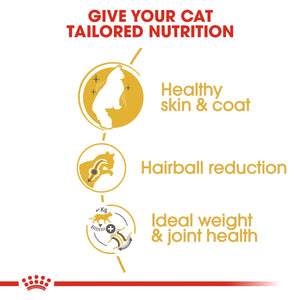 Feline Breed Nutrition Norwegian Forest Cat Adult 2 KG