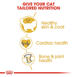 Feline Breed Nutrition Ragdoll Adult 2 KG