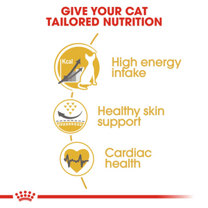 Feline Breed Nutrition Sphynx 2 KG