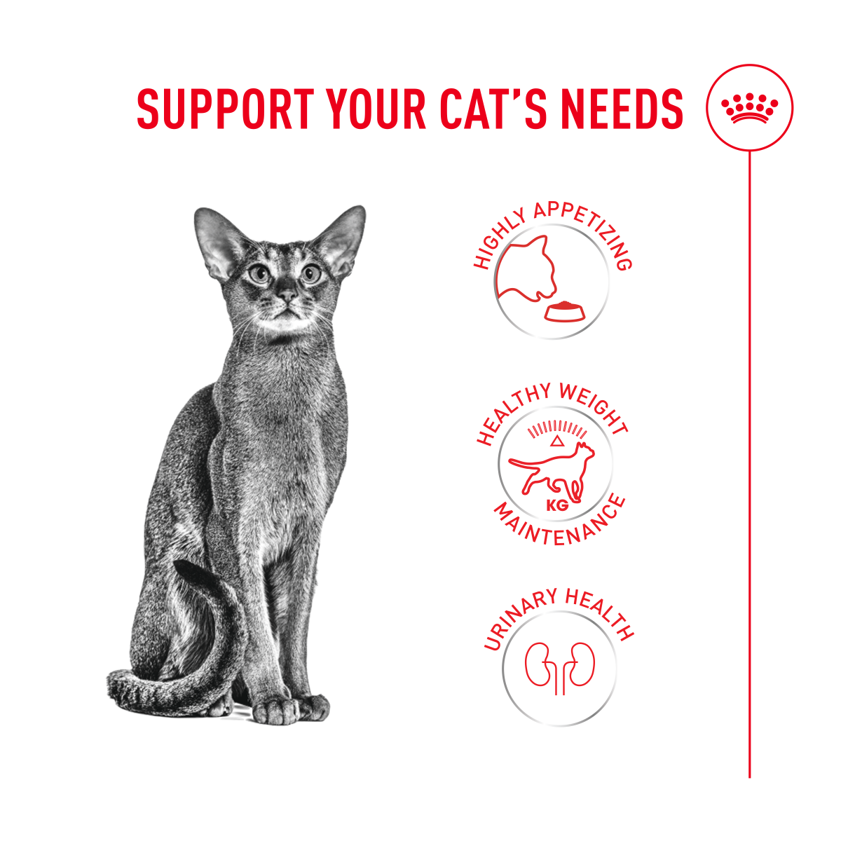 Feline Health Nutrition Fussy Cat 2 kg